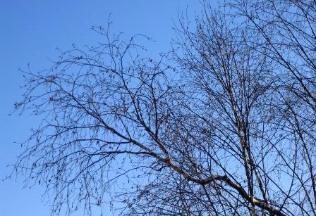 Hiver.jpg